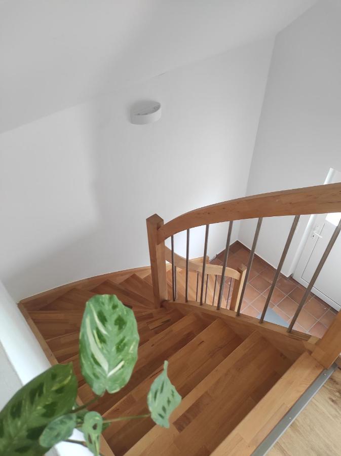 Ferienwohnung Im Distelweg Scheid  Eksteriør billede